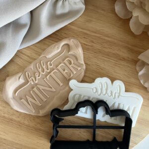 CHRISTMAS2025  Christmas Hello winter fondant stamp and cutter