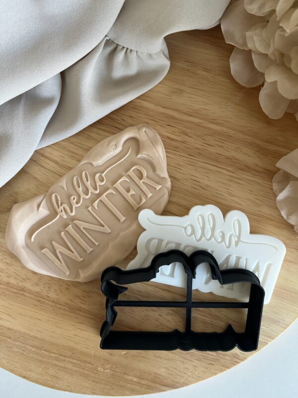 CHRISTMAS2025  Christmas Hello winter fondant stamp and cutter